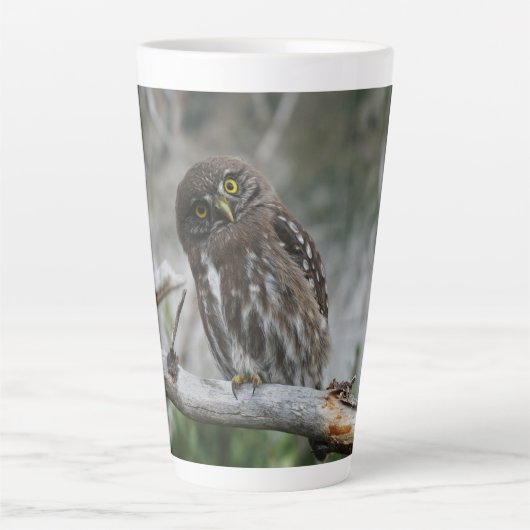 Nordpygmäuse Milchtasse (Vorderseite)