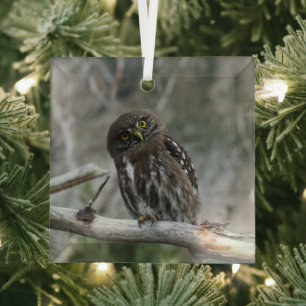 Nordpygmäuse Ornament Aus Glas
