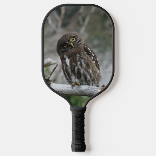 Nordpygmäuse Pickleball Schläger (Vorderseite)