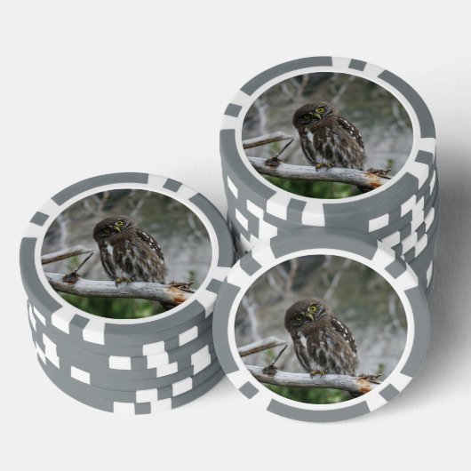 Nordpygmäuse Pokerchips (Stapel)