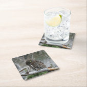 Nordpygmäuse Rechteckiger Pappuntersetzer (Vor Ort)