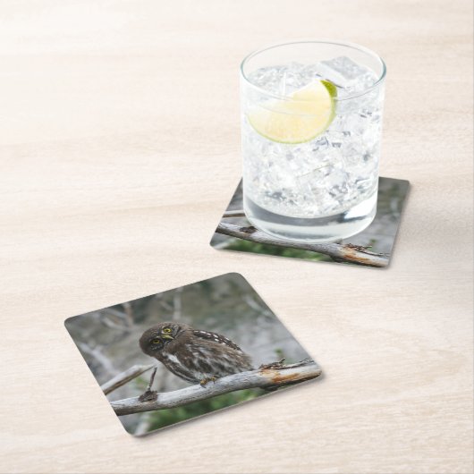 Nordpygmäuse Rechteckiger Pappuntersetzer (Vor Ort)