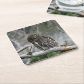 Nordpygmäuse Rechteckiger Pappuntersetzer (angewinkelt)