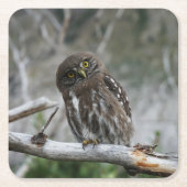 Nordpygmäuse Rechteckiger Pappuntersetzer (Vorderseite)