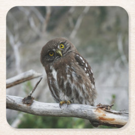 Nordpygmäuse Rechteckiger Pappuntersetzer