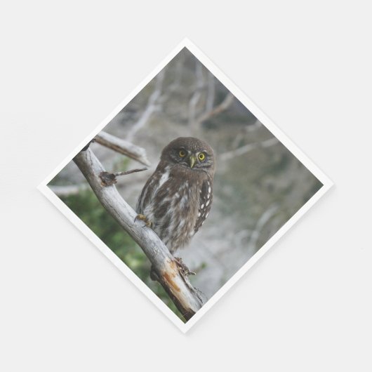 Nordpygmäuse Serviette (Ecke)