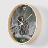 Nordpygmäuse Uhr (Winkel)