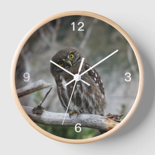 Nordpygmäuse Uhr (Vorderseite)