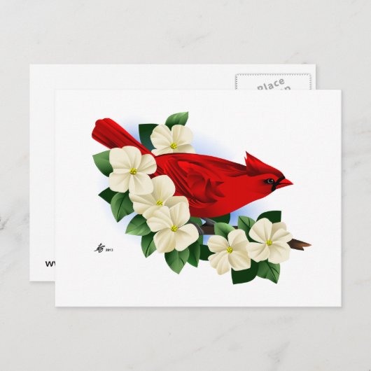 Nordroter Kardinal Postkarte (Vorne/Hinten)