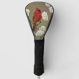 Nordroter Kardinal unter den Blüten des Birnbaums Golf Headcover
