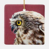 Nordsäge-Weiß-Portrait Keramikornament (Rückseite)