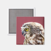Nordsäge-Weiß-Portrait Magnet (Vorderseite/Rückseite)