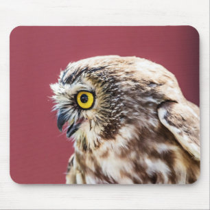 Nordsäge-Weiß-Portrait Mousepad