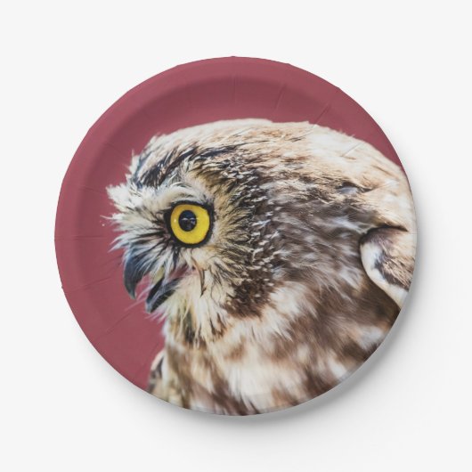 Nordsäge-Weiß-Portrait Pappteller (Vorderseite)