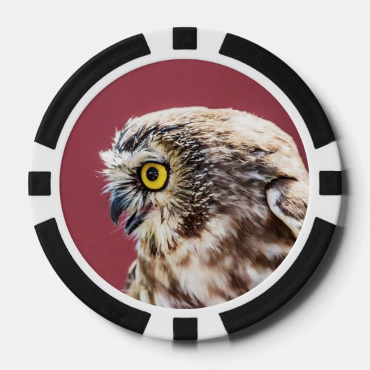 Nordsäge-Weiß-Portrait Pokerchips (Vorderseite)