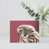 Nordsäge-Weiß-Portrait Postkarte (Stehend Vorderseite)
