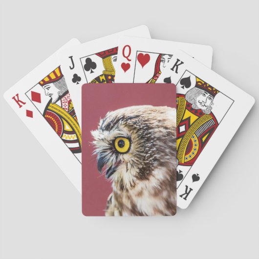 Nordsäge-Weiß-Portrait Spielkarten (Rückseite)