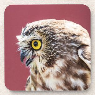 Nordsäge-Weiß-Portrait Untersetzer