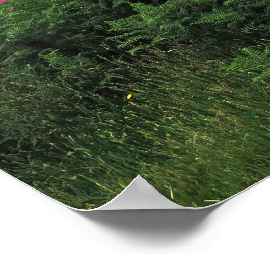 Nordschottland Poster (Ecke)