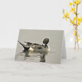 Nordspießenten-Ente Karte (Gelbe Blume)