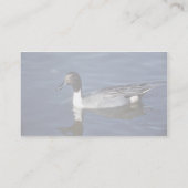 Nordspießenten-Enten-Mann Visitenkarte (Rückseite)