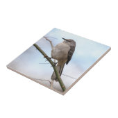 Nordspottdrossel Fliese (Seite)