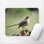 Nordspottdrossel Mousepad (Mit Mouse)