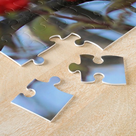 Nordspottdrossel Puzzle (Seite)