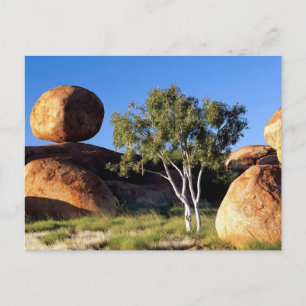 Nordterritorium, Australien Postkarte