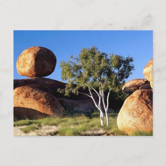 Nordterritorium, Australien Postkarte (Vorderseite)