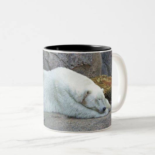 Nordträume Zweifarbige Tasse (VorderseiteRechts)