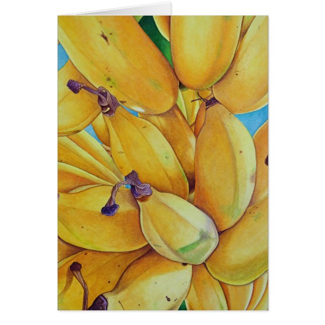 Nordufer-Bananen (Vorne)