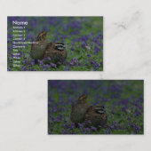 Nordvirginische wachteln visitenkarte (Vorne/Hinten)