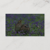 Nordvirginische wachteln visitenkarte (Rückseite)