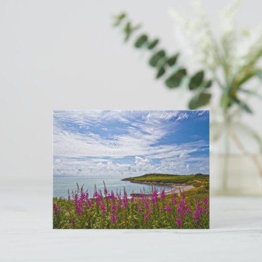 Nordwalküste Postkarte (Stehend Vorderseite)