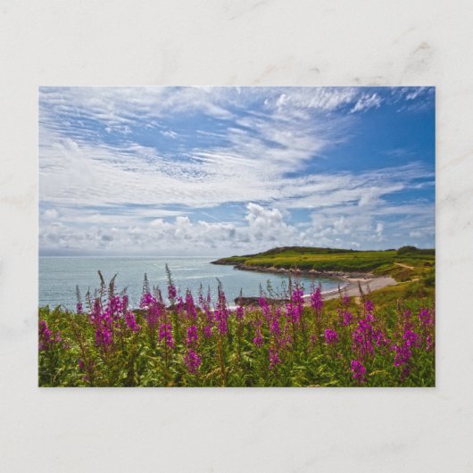 Nordwalküste Postkarte (Vorderseite)