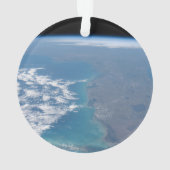 Nordwärts der Halbinsel Florida. Ornament (Rückseite)