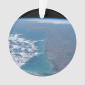 Nordwärts der Halbinsel Florida. Ornament (Vorderseite)