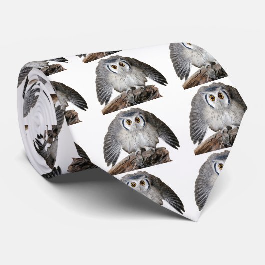 "Nordweißes Owl" Krawatte (Gerollt)