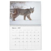 Nordwest BC 12 Monatskalender Kalender (Feb 2027)