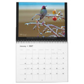 Nordwestkalender 2025 kalender (Jan 2027)