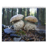 Nordwestpilz-Kalender 2010 Kalender (Titelbild)