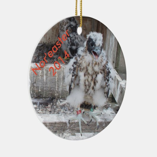 Nor'easter-Verzierung 2014 Keramik Ornament (Rechts)