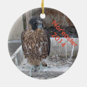 Nor'easter-Verzierung 2014 Keramik Ornament