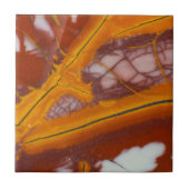 Noreena Jasper Rock Slab Fliese (Vorderseite)