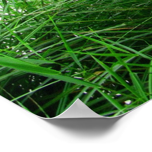 Norfolk Broads Poster (Ecke)