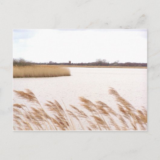 Norfolk Broads Postkarte (Vorderseite)