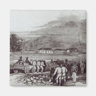 Norfolk-Insel Magnet