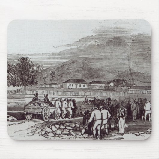 Norfolk-Insel Mousepad (Vorne)