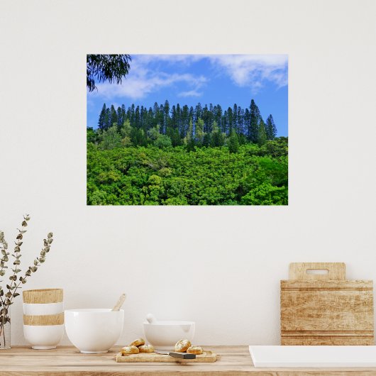 Norfolk Island Pine Trees Poster (Küche)